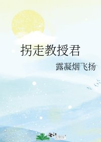 拐走教授君