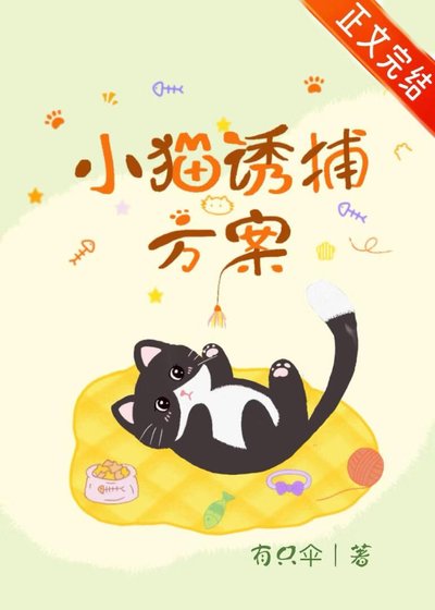 小貓誘捕方案