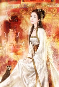 金窝藏贵妻